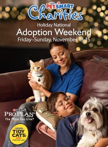 PetSmart Adoption Weekend Nov 13-15 - Catster