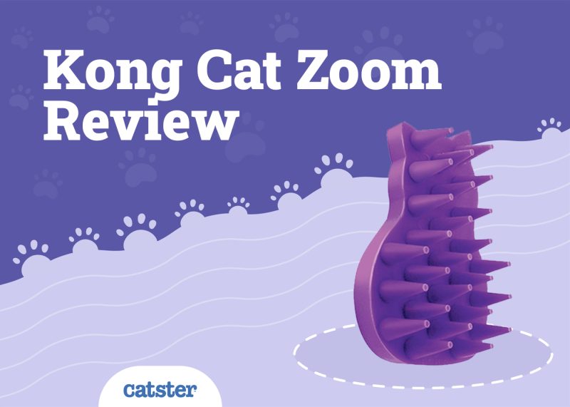 Kong Cat Zoom Groom Review