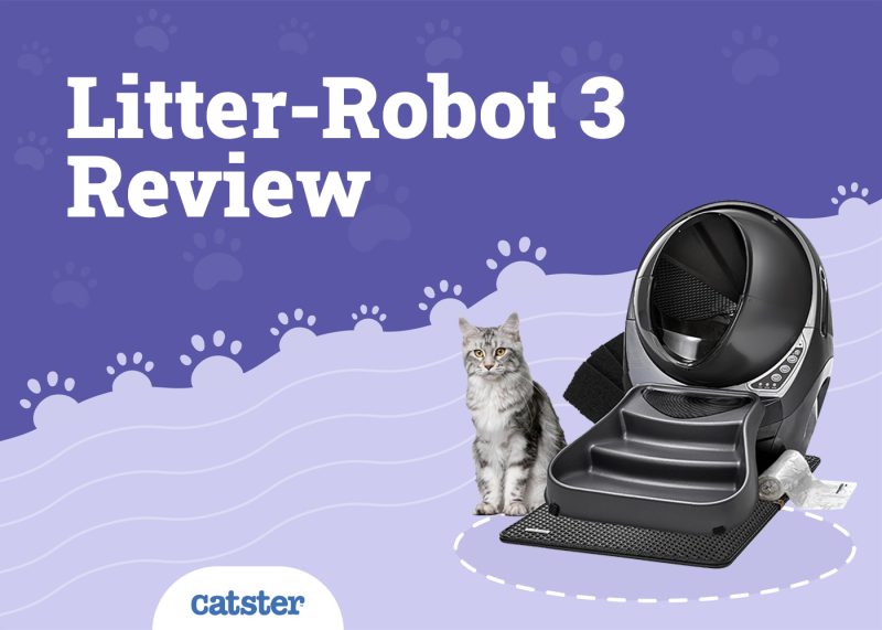 Litter-Robot 3 Review