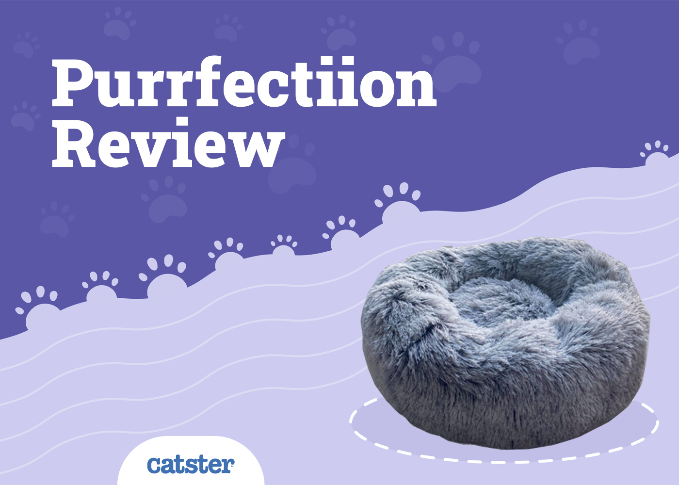 Purrfectiion Cat Bed Review