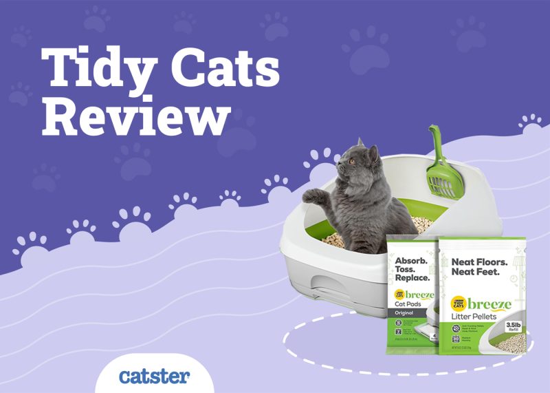 Tidy Cats Litter System Review