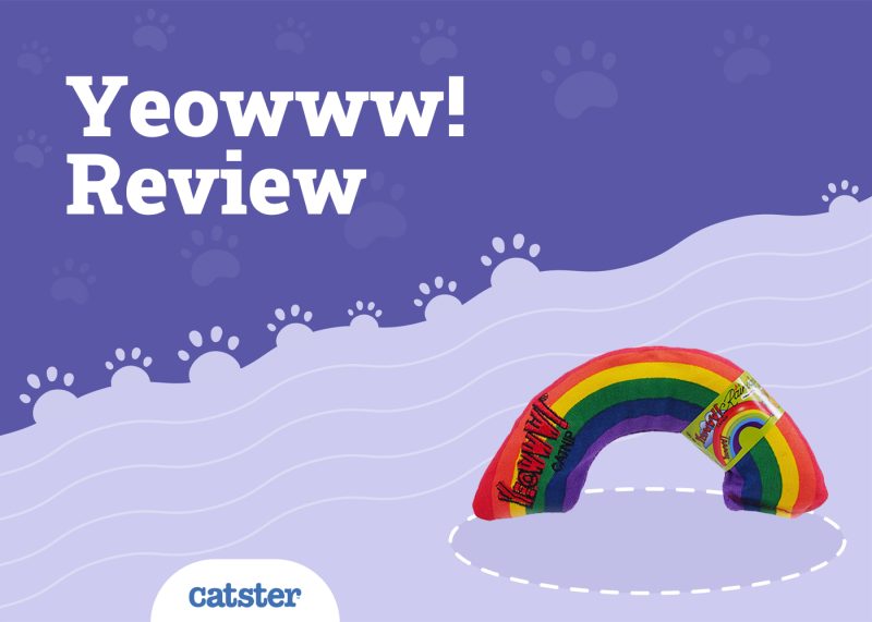 Yeowww! Catnip Rainbow Cat Toy Review