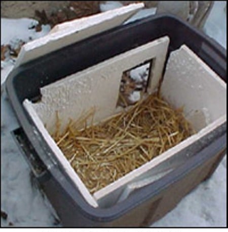 winter home for feral cats