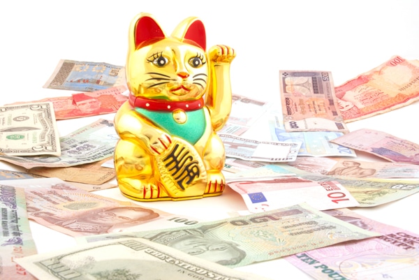 japanese golden cat