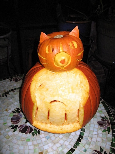 13 Cat Pumpkin-Carving Ideas for Halloween - Catster