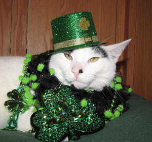 Catster St Patrick’s Day Purrade - Catster