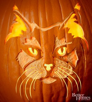 Thursday Thirteen: 13 Cat Breed Jack-o-Lantern Stencils - Catster