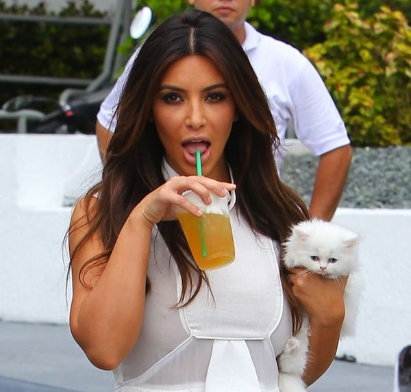 Kanye West And His Weird World Of Cats Catster