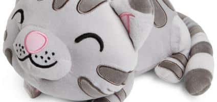 Perfect Medicine: The Big Bang Theory’s “Soft Kitty” Merch - Catster