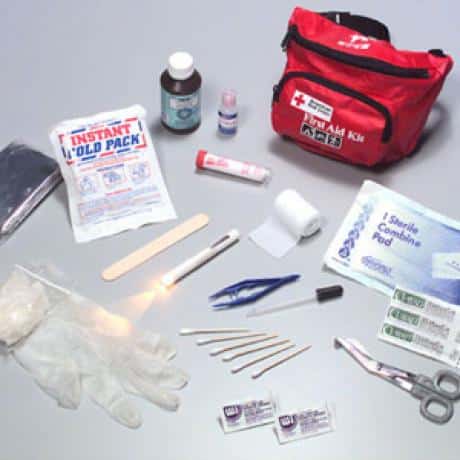 The Importance of Having a Cat First Aid Kit - Catster