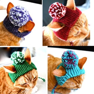 Download Win a Funky Knit Hat or Lion's Mane for Your Cat! - Catster