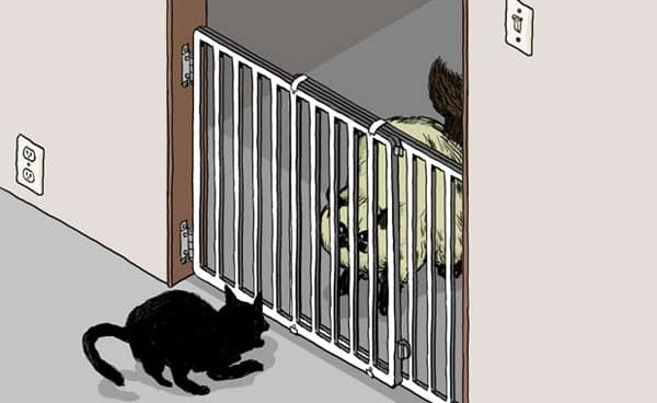 I Use a Baby Gate to Stop My Cats From 