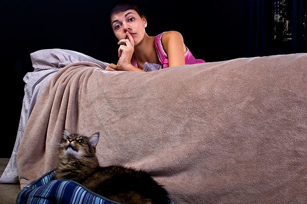 Is Your Cat Meowing at Night? Reasons 