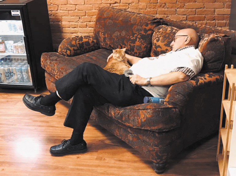 How Cat Grandpa Terry Became Famous For Cat Naps Catster 