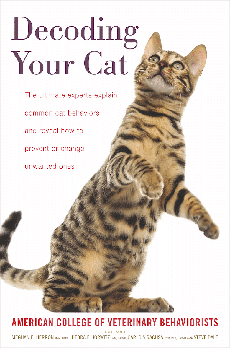 Stay Home and Read One of These Great Books for Cat Lovers - Catster