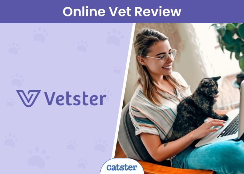 CAT_SAPR_Vetster Online Vet