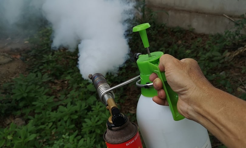 7 Best Mosquito Sprays for Yards in 2024