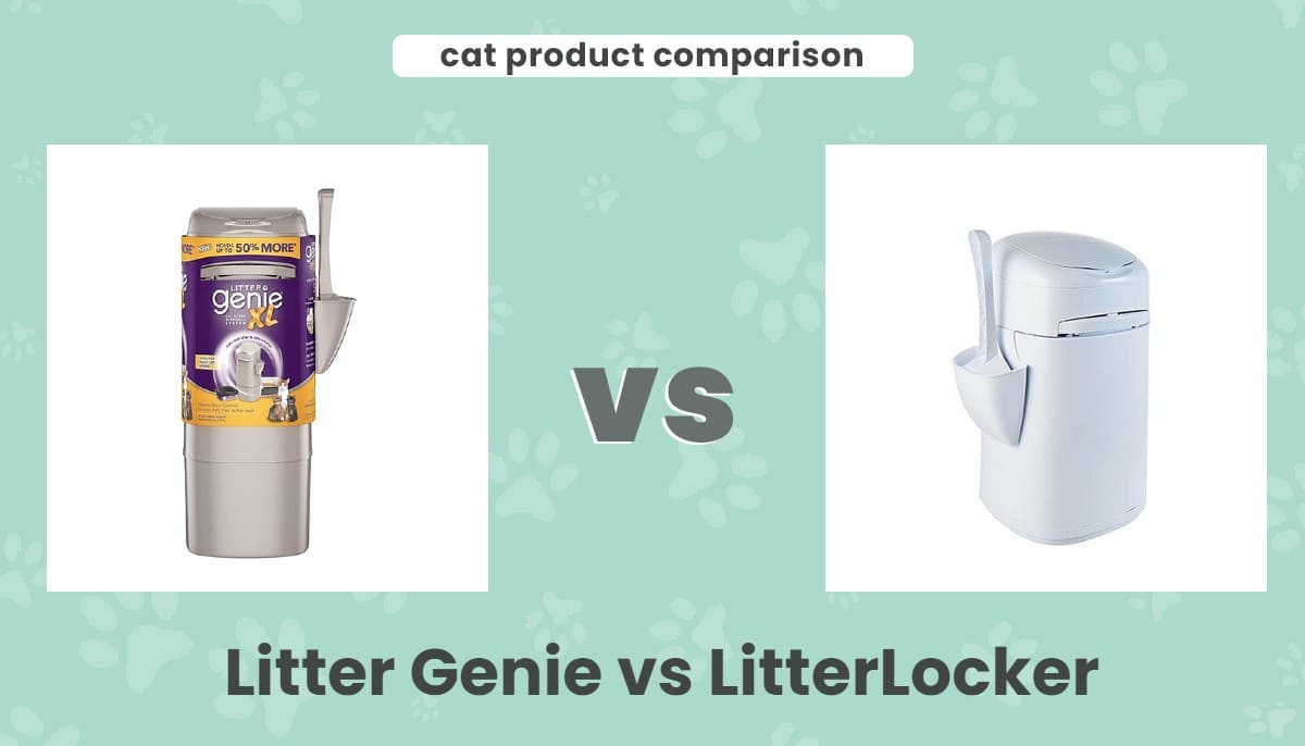 Litter Genie vs LitterLocker: Our 2024 Review & Comparison - Catster