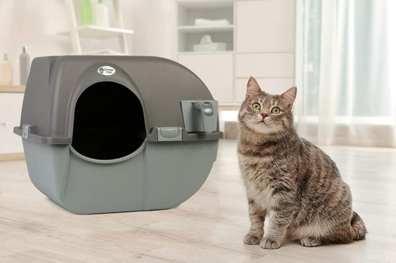 https://www.catster.com/wp-content/uploads/2023/11/Omega-Paw-Self-Cleaning-Litter-Box_Amazon-800x533.jpg