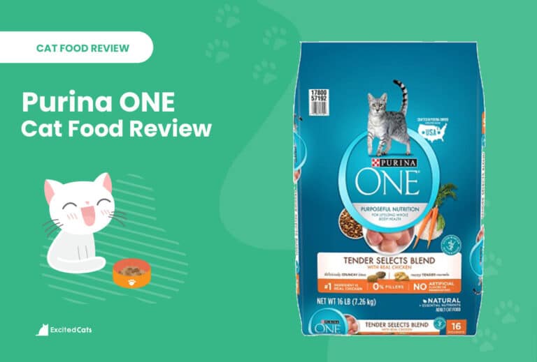 Purina ONE Cat Food Review of 2024 Recalls, Pros & Cons Catster