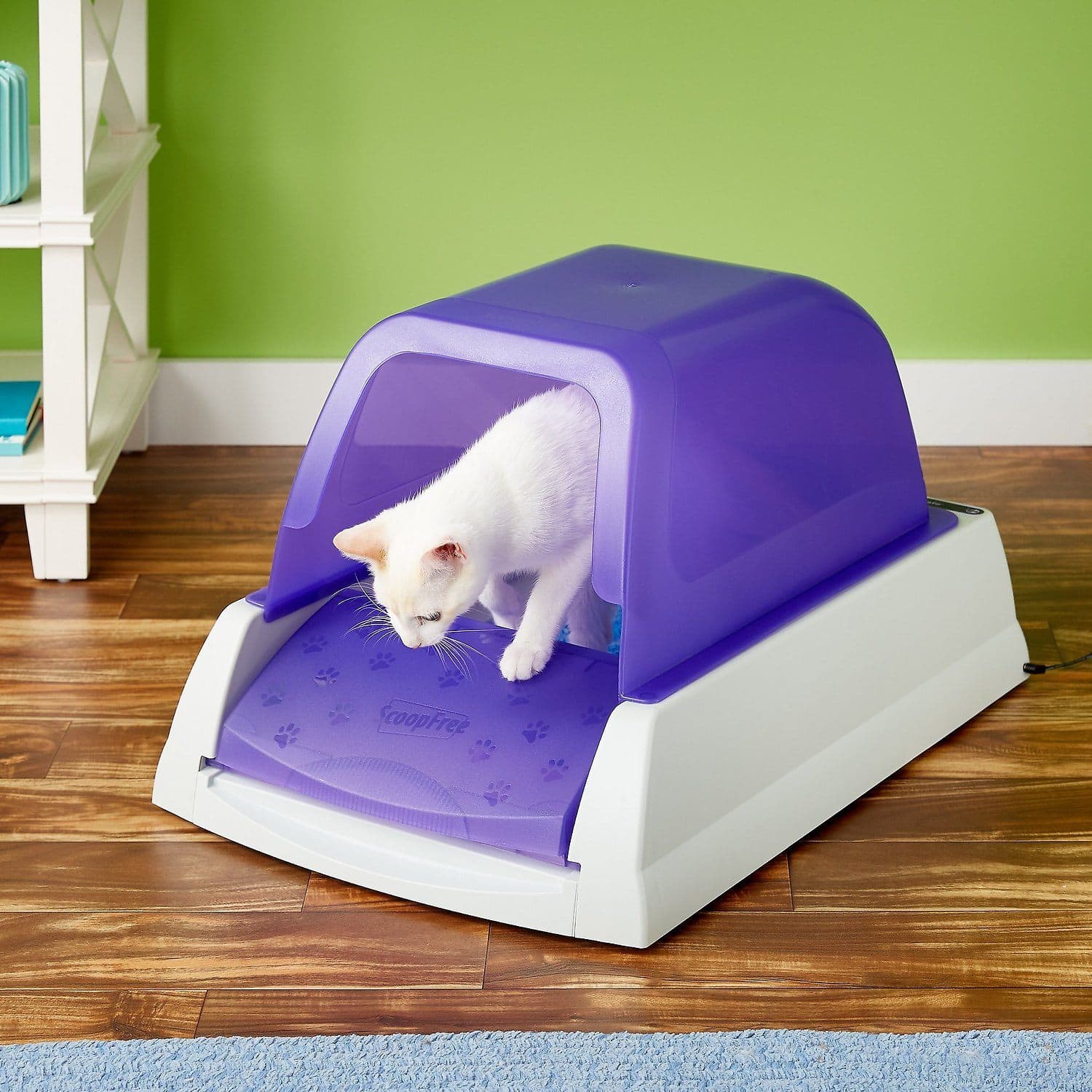 10 Best Crystal Cat Litters of 2024 - Reviews & Top Picks - Catster