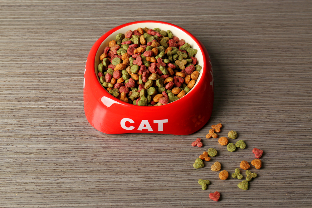 cat food in red bowl