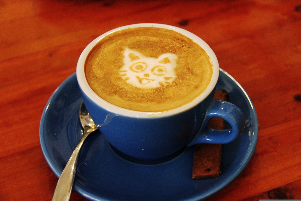 coffee with cat art