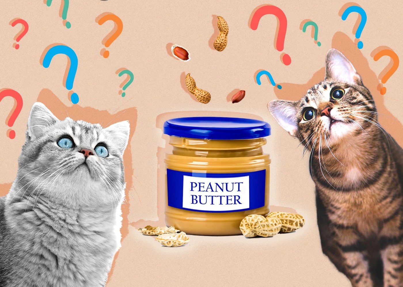 Can Cats Eat Peanut Butter? Vet-Reviewed Facts & FAQ - Catster