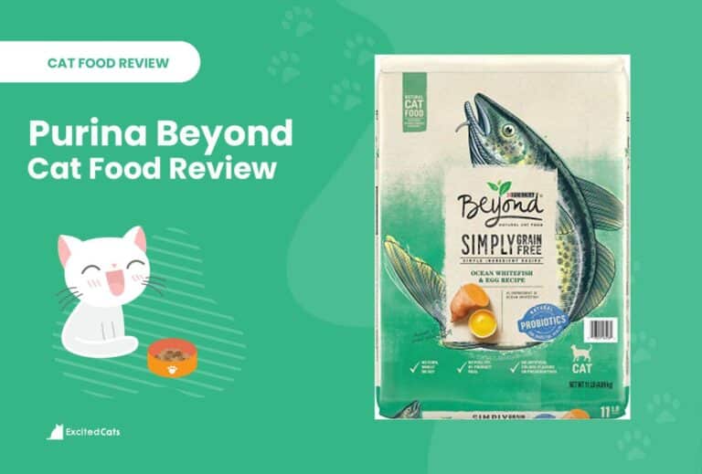Purina Beyond Cat Food Review in 2024 Recalls, Pros & Cons Catster