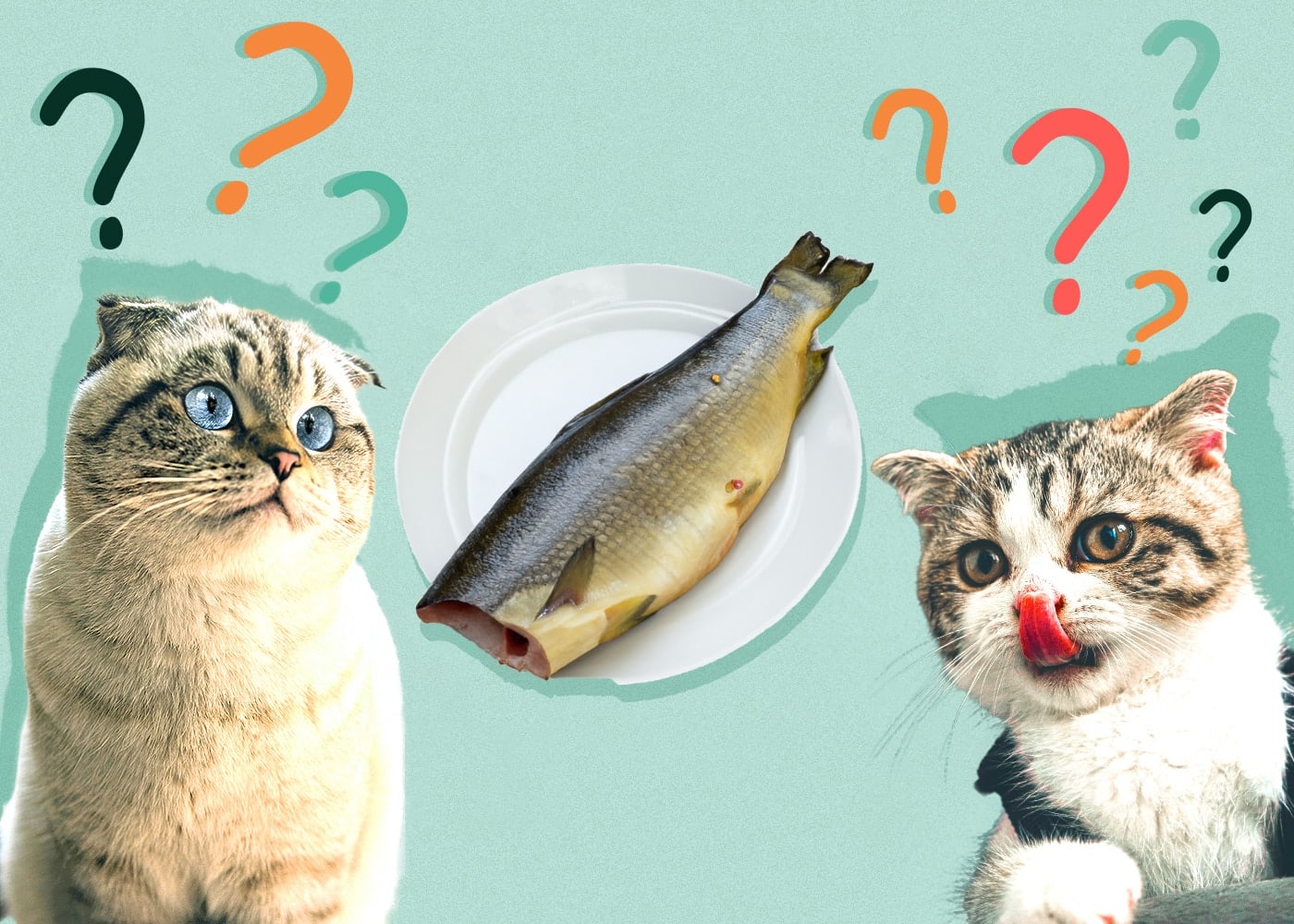 Is Eating Raw Fish Safe and Healthy?