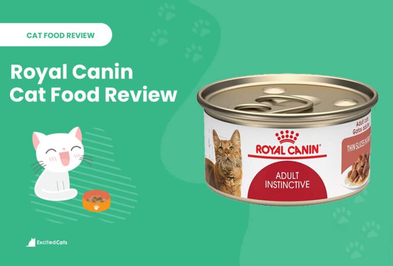 Royal Canin Cat Food Review in 2024 Recalls, Pros & Cons Catster