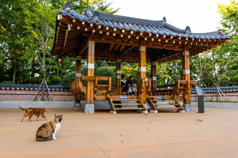 People in the Korean-style pavilion and cat sitting on the ground.