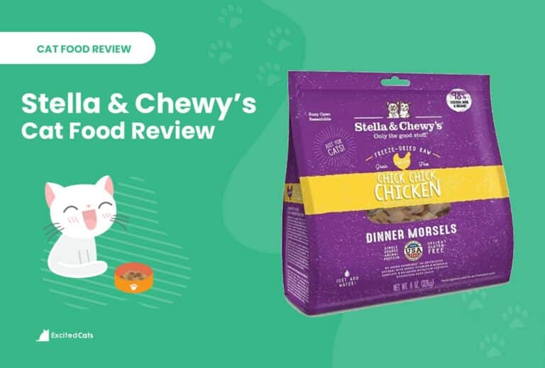 Stella & Chewy’s Cat Food Reviews 2024 Recalls, Pros & Cons Catster
