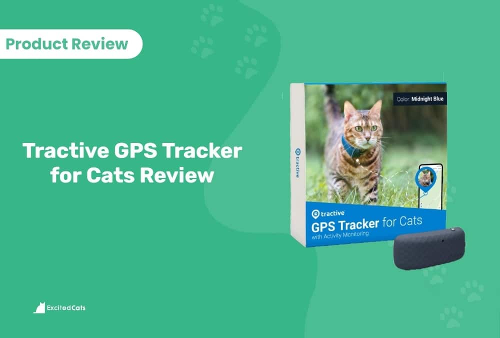 Tractive GPS Tracker for Cats and Dogs with Activity Monitoring