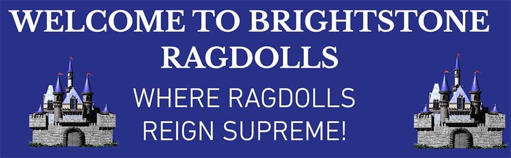 Brightstone Ragdolls