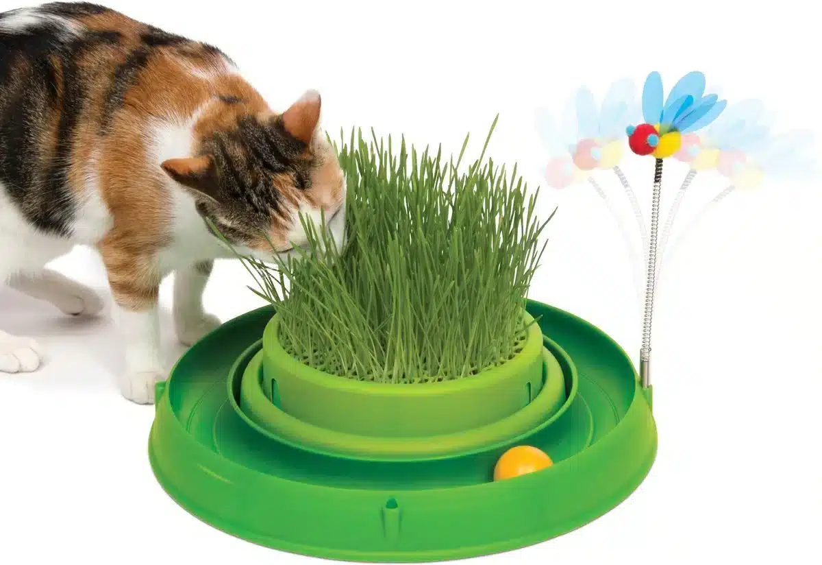 10 Best Toys for Cats Home Alone in 2024 - Reviews & Top Picks - Catster