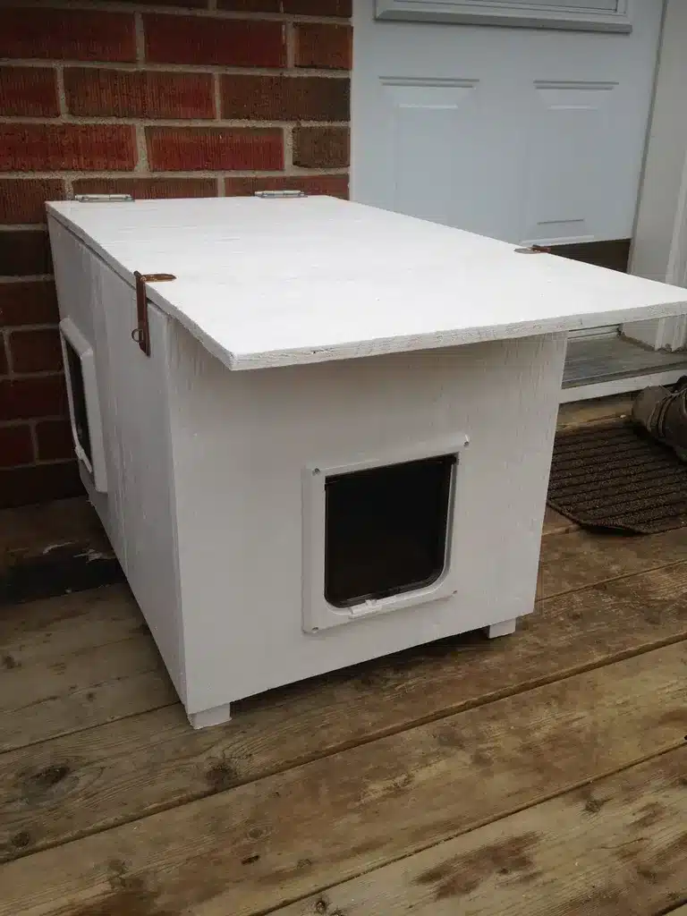 How to make a heated cat house igloo as a winter cat shelter - Cuckoo4Design