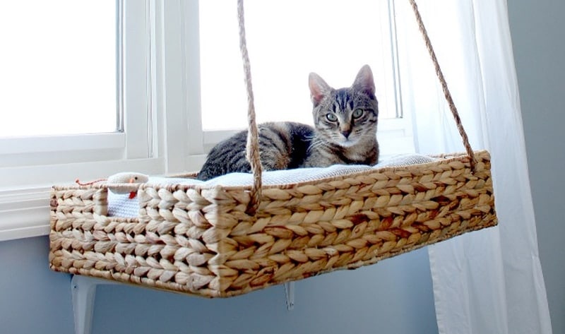 11 DIY Cat Window Perches You Can Build Today (With Pictures) - Catster