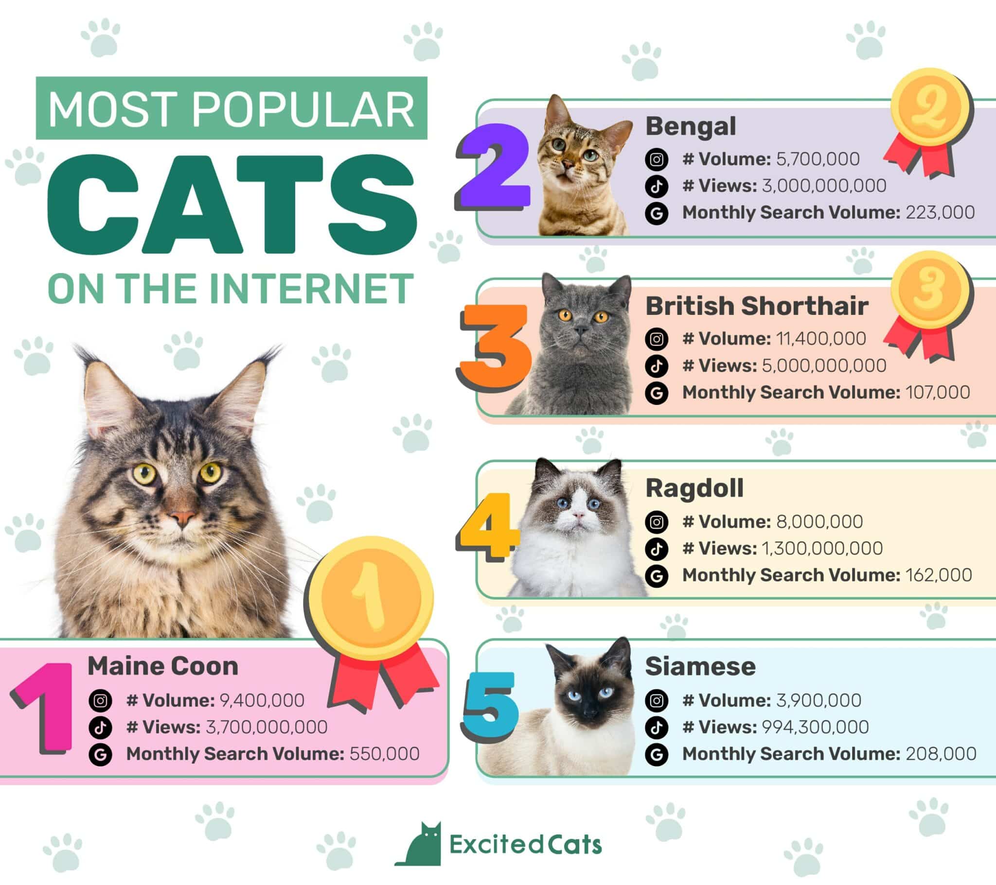 Top 20 Most Popular Cat Breeds – Forbes Advisor