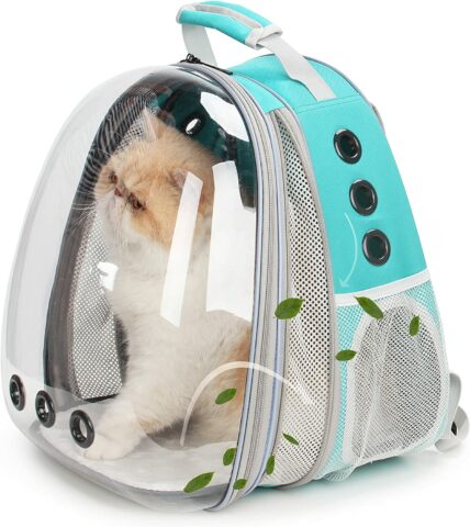 Space-Inspired Cat Backpacks: Bubble Domes & Capsules (2023)