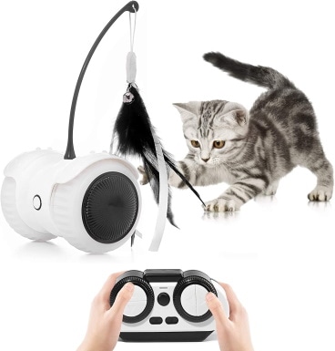 https://www.catster.com/wp-content/uploads/2023/12/Magkay-Interactive-Cat-Toys.jpg
