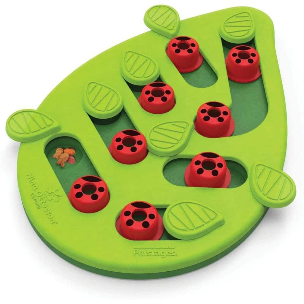 https://www.catster.com/wp-content/uploads/2023/12/Nina-Ottosson-Petstages-Buggin-Out-Puzzle-Snack-Cat-Toy-1024x1024-1.jpg