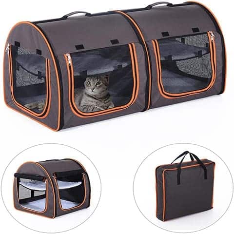 7 Best Cat Carriers for Two Cats in 2024 - Reviews & Top Picks - Catster
