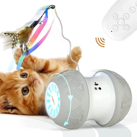 https://www.catster.com/wp-content/uploads/2023/12/SEFON-Robotic-Cat-Toy.jpg