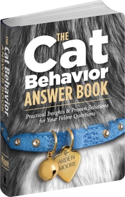 Five hilarious gift books for cat lovers - Upworthy