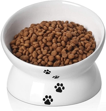 https://www.catster.com/wp-content/uploads/2023/12/Y-YHY-Raised-Cat-Food-Bowls.jpg