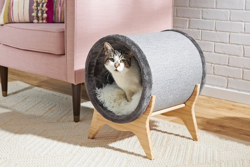 10 Best Cat Cave Beds in 2024 – Reviews & Top Picks - Catster