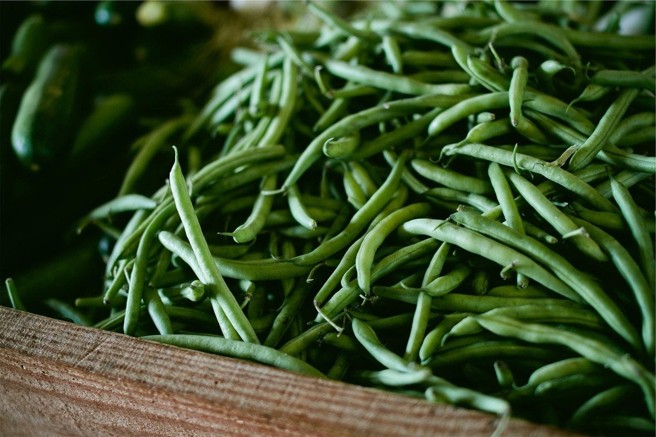 Can Cats Eat Green Beans (Raw, Cooked, Canned)? Is It Good for Them ...