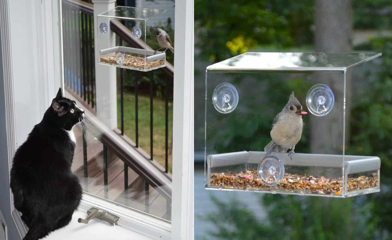 in house bird feeder THIS IS GREAT IF YOU DON'T HAVE CATS! I HAD