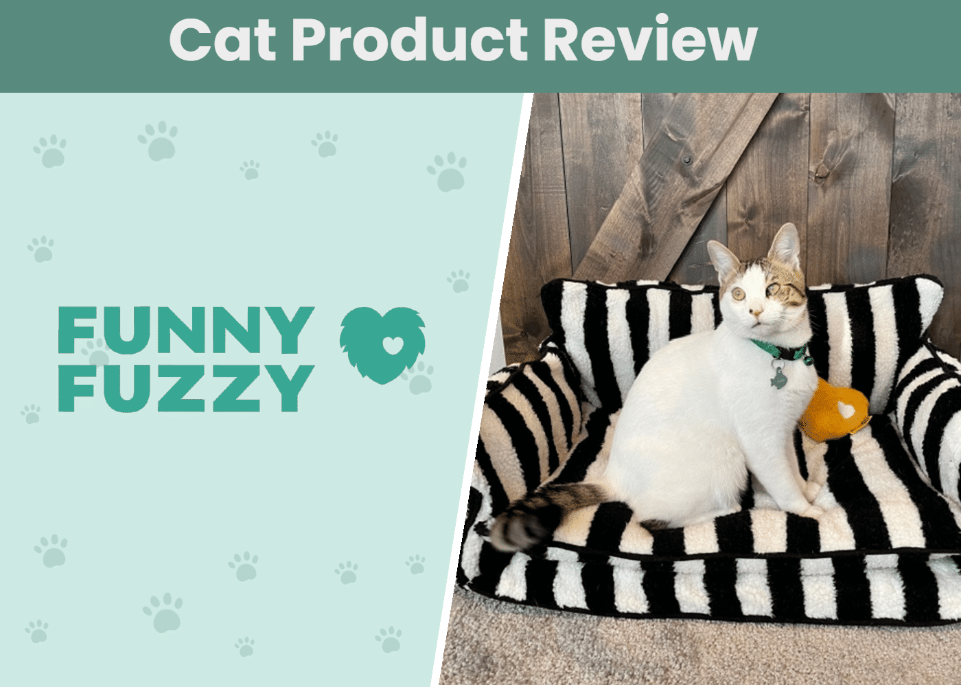 Funny Fuzzy Cat Sofa Bed Review 2024: Our Expert's Opinion - Catster